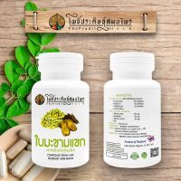 ยาแคปซูล ผสมใบมะขามแขก (Senna leaf Capsules) ตราโพธิ์ประดิษฐ์สมุนไพร 100 แคปซูล เลขที่อย.G631/60