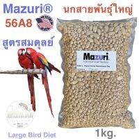 Pro +++ Mazuri 56A8อาหารนกปากขอสายพันธุ์ใหญ่ โม่ง กรีนชีค เกรย์ อิเล็กตัส กระตั้ว มาคอว์ ราคาดี อาหาร นก อาหารนกหัวจุก อาหารนกแก้ว อาหารหงส์หยก