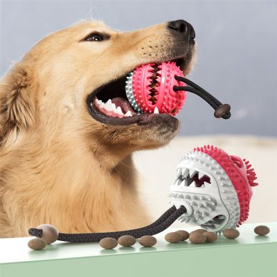 ลูกสุนัขเคี้ยวของเล่นลูกบอลเครื่องประดับสุนัขของเล่น Sikat Gigi Anjing ยางยอดนิยมของเล่นปั๊กหมาฝรั่งเศสบูลด็อกอุปกรณ์ทำความสะอาดฟันสุนัข Kong ของเล่น Yy. ร้านค้า