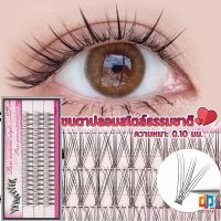 Time Zones ขนตาปลอมแบบธรรมชาติ /8/10/11/12/14 มม. ต่อขนตาแต่ละช่อ False Eyelashes