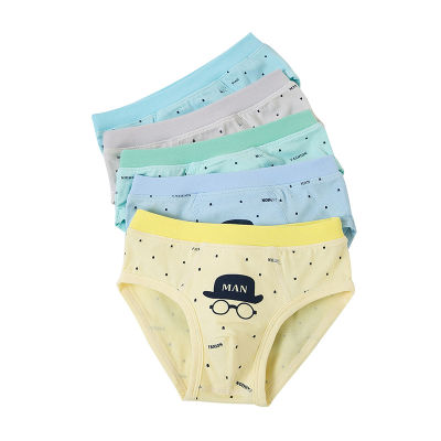 5 PcsLot Boys Cotton Briefs Underpants Childrens Underwear Baby Cartoon Panties 2-12Years
