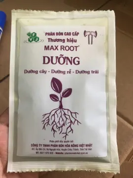 Rooting hormone giúp cây ra rễ nhanh hơn như thế nào?
