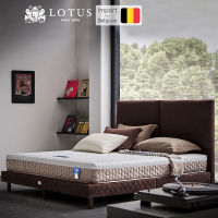 LOTUS ที่นอนยางพารา (สเปคสมดุลลงตัว) รุ่น i-Latex II หนา 9.5 นิ้ว *ฟรีหมอนหนุนสุขภาพ ส่งฟรี