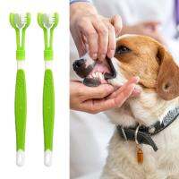 2Pcs Pet Toothbrush Soft Bristles Labor-saving Dental Care Non-Slip Handle Hanging Hole Fresh-Breath Plastic Handheld  Oral Care Brushes  Combs