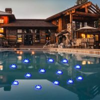 ☃✙ Floating Pool Light Battery Operated LED Lifelike Floating Lamp Waterproof Funny Lotus Pool Lamp EVA Water Landscape Decor Light