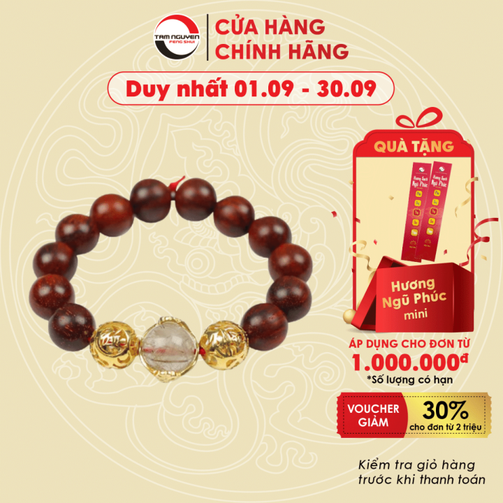 Ý nghĩa của mai hoa kim tiền trong phong thủy Ý nghĩa của mai hoa kim tiền trong phong thủy