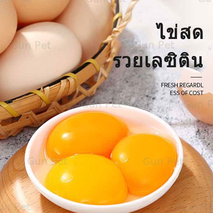 ส่งตรงสู่ความสุขแมว-อกไก่ฟรีซดราย-ขนมแมว-อาหารเสริมแมว-สูตรพิเศษที่เราพัฒนาขึ้นเพื่อสุนัขของคุณ