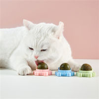 เหรียญกษาปณ์แบบโต้ตอบหมุนได้ลูกบอลทำความสะอาดฟัน PCTYL36665ของเล่นแมว