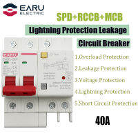 40A 2P SPD เบรกเกอร์กระแสไฟตกค้างพร้อมโอเวอร์โหลด Overvoltage RCBO RCCB พร้อมระบบป้องกันฟ้าผ่า MCB Leakage Protector-Daoqiao