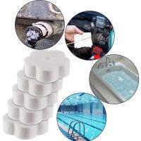 【CW】 20PCS Accessories Absorbing Sponge Cartoon Scum Floating Hot Tub Spa Pool Filter