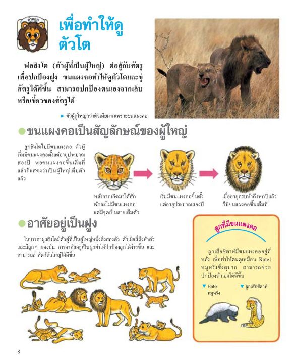 สารานุกรมรูปภาพสำหรับเด็ก-ปริศนาสัตว์