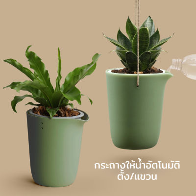 กระถางให้น้ำอัตโนมัติ ตั้ง/แขวน ไซส์ S - Qualy Oasis round pot (S)