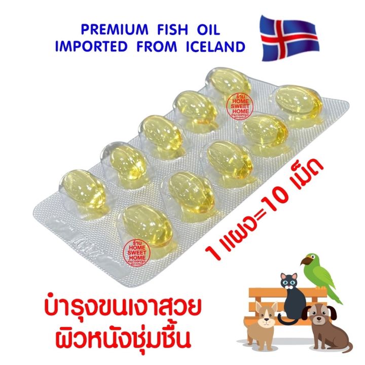 แท้100-โอทรีโกลด์-o3gold-น้ำมันปลา-1กล่อง10แผง-o3-gold-วิตามิน-บำรุงผิว-บำรุงขน-แก้ขนร่วง-สุนัข-แมว-นก-หมา-ชนิดแคป-premium-fish-oil-แชมพูสมุนไพร-เรื้อน