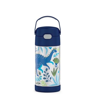 Thermos Dinosaur Kingdom FUNtainer Bottle 12OZ with Bali Handle