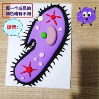 Animal and plant cell model high school in a biological clay diy eukaryotic submicroscopic structure paramecium finished products