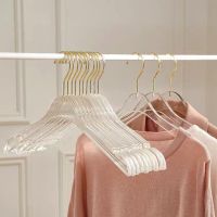 5/10pcs Acrylic Hanger Clothing Organizer Wardrobe Pants Coat Hanger Drying Rack  Transparent Gold Hook Adult Child Clothes Hangers Pegs