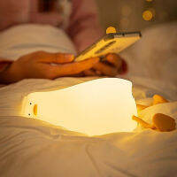 Tide Play Prone Duck Timing Small Night Light Voice-controlled Moomin Night Light Touch Induction Light Net Red Light