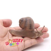 Monkey Toys - โมเดลสัตว์ Snail หอยทาก น้ำตาล ขนาด 9.10 CM (จากหาดใหญ่)