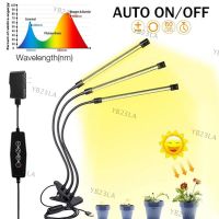 3 Clip Head USB Grow Light Timer LED Fitolamp indoor 5V Full Spectrum Phyto DC Plant lamp desk sunlight Lamp Flexible Dimmable YB23TH