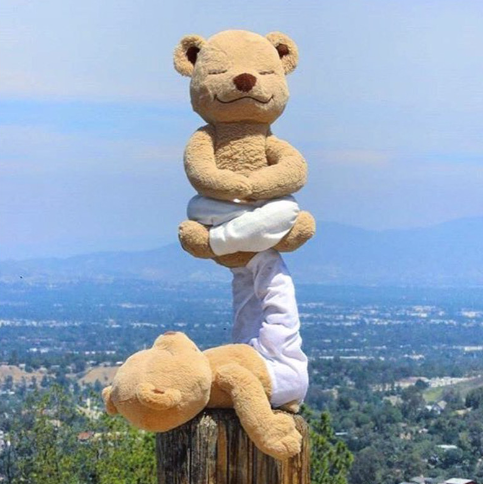 ตุ๊กตาหมี-teddy-bear-ตุ๊กตา-หมีโยคะ40cmพร้อมส่งจากไทย