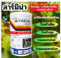 ลาร์มิน่า บาซิลลัส ซับทีลิส ขนาด 500 กรัม , 1 กิโลกรัม ป้องกันโรคพืช โรคใบติด