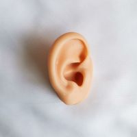 [HOT ZUQIOULZHJWG 517] Ear Model Ear Acupuncture Model Ear 1:1 Life Size For Ear Acupuncture Press Needle