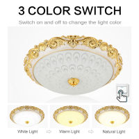 European Modern Glass LED Ceiling Light 15W24W 220V GoldSilver Ceiling Lamp For Aisle Porch Apartment Bedroom Study Home Decor