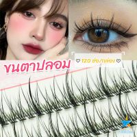 TookDee ขนตาปลอม ขนตาปลอมแต่งหน้ามืออาชีพ 120 ช่อ ช่อคนตาเทรนสาวเวียดนาม  Little devil false eyelashes