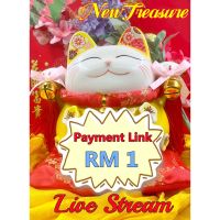 New Treasure Live Stream Shopping Payment Link for RM1新宝藏直播购物RM1付款专用链接