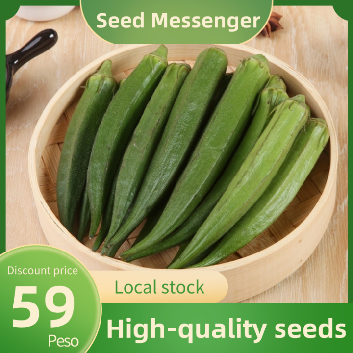 (Green Okra Seed 60 Seeds )High Yielding Quality Variety Okra Seed
