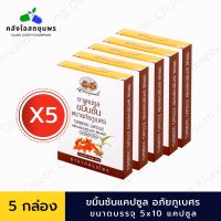 อภัยภูเบศร ยาแคปซูลขมิ้นชัน ตราอภัยภูเบศร 400mg  5x10 แคปซูล