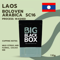 (CAS01-LAO-01) สารกาแฟ Arabica SC16 Washed