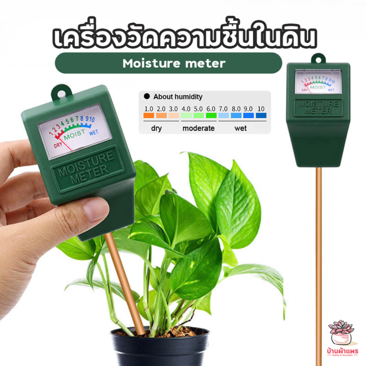 เครื่องวัดความชื้นในดิน Moisture meter แคคตัส กระบองเพชร ไม้อวบน้ำ cactus&succulent Lazada.co.th