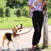 Dog Cat Puppy Traction Rope Automatic Retractable Extending Leads Belt Leash Led Light Shine Walking Running New Durable Relaxed