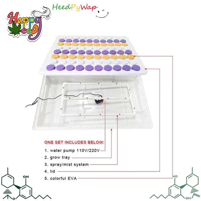 ถาดโคลน เซ็ทน้ำ Aeroponic Cloning Set Hydroponic โคลนง่ายๆด้วย ระบบน้ำ ...