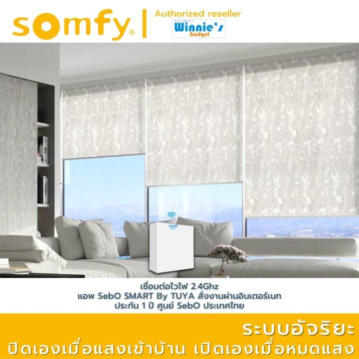 somfy-ltn-50-wt-30-12-pa-มอเตอร์ไฟฟ้าสำหรับม่านม้วน-มอเตอร์อันดับ-1-นำเข้าจากฟรั่งเศส