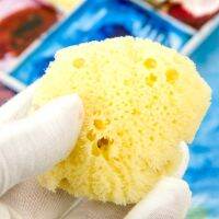 【CW】 Sponge Sponges Painting Absorbing Greeksponging Sea Pottery Clay Texturing Absorbent Accessory