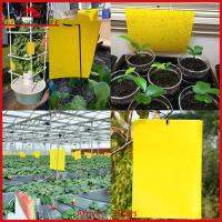 [Arrive 1-3 Days]50pcs Strong Flies Traps Bugs Sticky Board Catching Insects Pest Killer