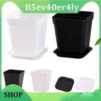 B5ev40er4ly Shop 1 Set Planter Pot Trays Mini Square Plastic Flower Pot Home Office Succulent Plants Nursery Pot Green Garden Tools