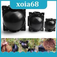 xoia68 Shop 5/8/12cm Plant Rooting Ball fruit tree Root Growing Box Grafting Rooting Growing Box Breeding Case For Garden tools supplies