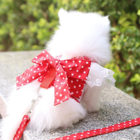 สายรัดสุนัขลูกไม้ที่สวยงาม Cat Leash Bow Knot สายคล้องคอสุนัขสัตว์เลี้ยงอุปกรณ์อุปกรณ์เสริมสายจูงสุนัขโบว์สีแดงจัดส่งฟรี-Youerd