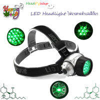 ไฟฉายคาดหัว ไฟฉาย FLASHLIGHT HEAD TORCH - 19 X GREEN LED | HIGH INTENSITY ไฟฉาย LED ความเข้มสูงสีเขียว Hydroponics