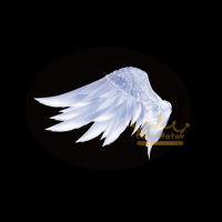 2x 3D Angel Wings Logo Car Door Motorcycle Scooter Welcome Courtesy Ghost Shadow Puddle Spotlight Laser Projector LED Light