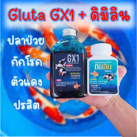 ผลิตภัณฑ์ GX สำหรับกักปลา รวมปลา ปลาคาร์ฟ ปลาสวยงาม