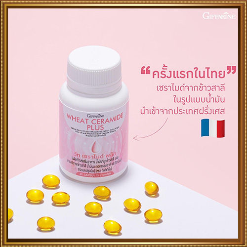 ควรไปตำด่วน-ครั้งแรกในไทย-กิฟารีนวีทเซราไมด์พลัส-จำนวน1ชิ้น-รหัส83086-บรรจุ30เม็ด-สินค้าแท้100-my-hop