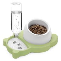 Dog Cat Bowls, Tilted Cat Food and Water Bowl Set, Raised Ceramic Cat Bowl with Automatic Water Dispenser Bottle