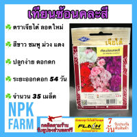 ผักซอง เจียไต๋ เทียนซ้อนคละสี จำนวน 35 เมล็ด/ซอง เมล็ดพันธุ์ ลอตใหม่ ดอกไม้ซอง ดอกคละสี สีขาว ชมพู ม่วง แดง ออกดอกดก ระยะออกดอก 54-59 วัน