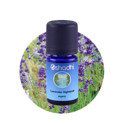 Oshadhi Lavender Highland organic Essential Oil น้ำมันหอมระเหย (10 ml)