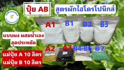 ปุ๋ย AB หัวเชื้อ 10 ลิตร แบบแห้งผสมเองสุดคุ้ม แคลไนท์ สูตรทนร้อน สูตรผักไฮโดรโปนิกส์ ทั้งน้ำวนและน้ำนิ่ง และพ่นทางใบพืชทุกชนิด