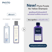 PHYTOARGENT Shampoo แชมพูสีม่วงสำหรับผมขาว ผมเทา ทำผมสีอ่อน ให้สีผมสวยเปล่งประกาย เงางาม ไม่ติดเหลือง ให้สีผมอ่อน ติดทนไม่หลุดเร็ว